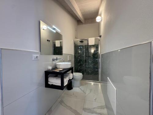 a bathroom with a toilet and a shower and a sink at Tenuta Feraxi - Private Paradise in San Priamo