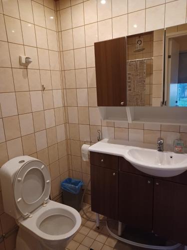 a bathroom with a toilet and a sink at countryside next to center in Kemi