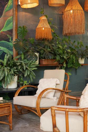 a room with two chairs and plants on a wall at Kanta Sana in Palomino