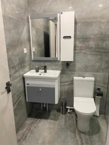 ギュムリにあるGata Second Floor Houseのトイレ、洗面台、鏡を備えたバスルーム