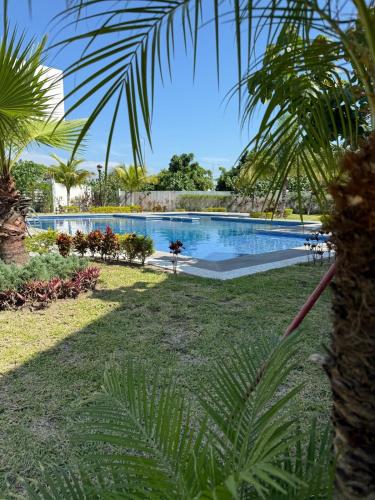 a swimming pool in a yard with a palm tree at Casa del Lago in Veracruz