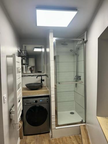 Appartement type 2 في Beaumont: حمام مزود بدُش زجاجي وحوض غسيل