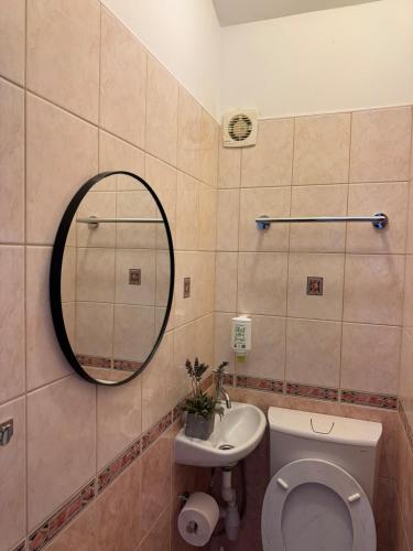 a bathroom with a toilet and a sink and a mirror at Stylish Stone House for Two in Koločep