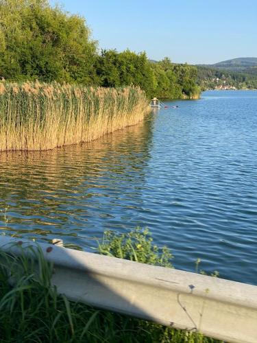 a boat is sitting on the water near some grass at Offline Vendégház in Orfű