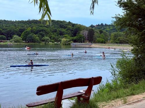 a group of people kayaking on a lake with a bench at Offline Vendégház in Orfű