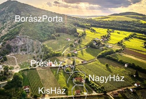 an aerial view of a vineyard in a valley at BorászPorta KisHáz in Villány