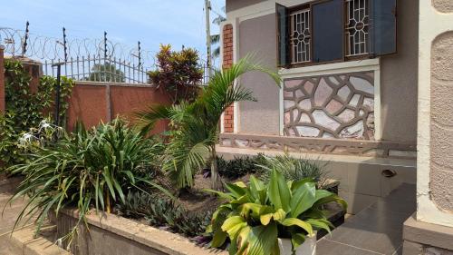 a garden with plants in front of a building at J and A Villas Homestay in Mbale