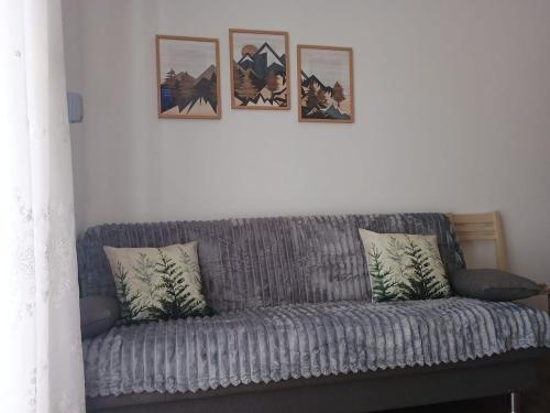 a gray couch with four pictures on a white wall at Casa Eva Roreto in Roure Turin