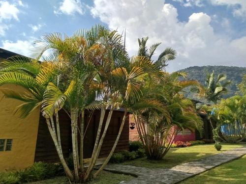 a group of palm trees in front of a house at Jardín Utopía in Jardin
