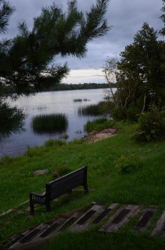 a park bench sitting in the grass near a lake at Doles skati, kubls - iekļauts cenā in Salaspils