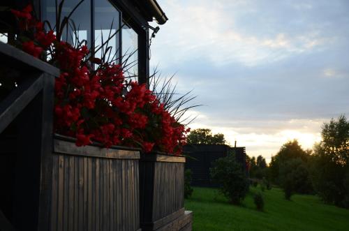 a flower box filled with red flowers on a fence at Doles skati, kubls - iekļauts cenā in Salaspils