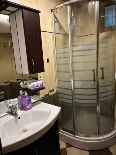 Un baño con lavabo y ducha en Teo Apartment, en Pristina