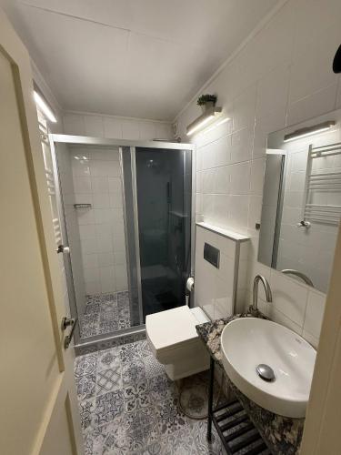 a bathroom with a shower and a toilet and a sink at Loft Garden on A in Tbilisi City