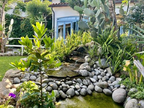 a garden with a pond with rocks and plants at Hotel Sant'Andrea in Marciana