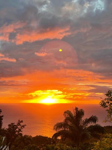 a sunset over the ocean with a palm tree at Villa Ô Perchée, Vue Mer Panoramique et Piscine Privée in Pointe-Noire