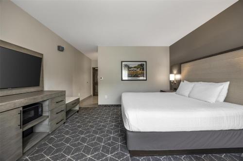 Μια τηλεόραση ή/και κέντρο ψυχαγωγίας στο Best Western Plus Lawrenceburg