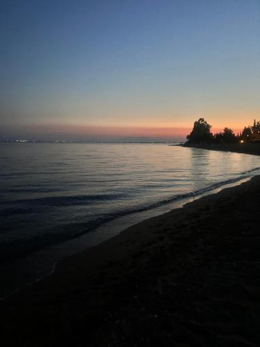 Φυσικό τοπίο κοντά σε αυτή η βίλα