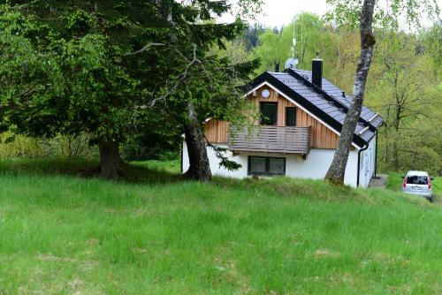 a house in a field with two trees at Chalet Pasečná in Přední Výtoň