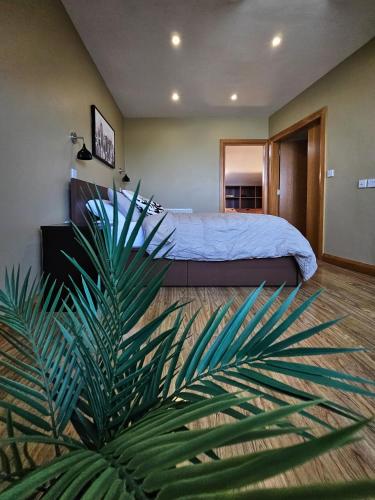 a bedroom with a bed and a green plant at Beachside - Stunning sea view townhouse across the road from the beach in Kilkeel