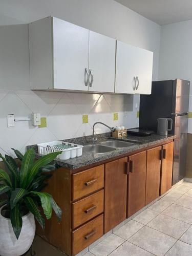 a kitchen with white cabinets and a sink and a plant at Apartamentos acogedores en el centro de Encarnación in Encarnación