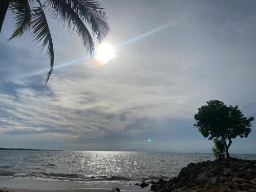 Phong cảnh thiên nhiên gần biệt thự