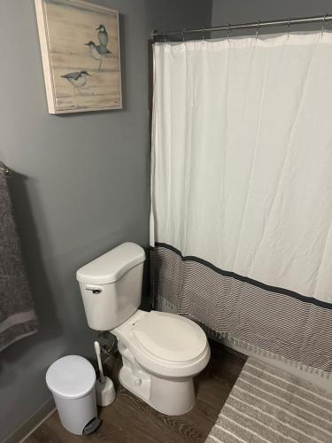 フェアバンクスにあるChic Boho Groundfloor 2br In Townのトイレとシャワーカーテン付きのバスルーム
