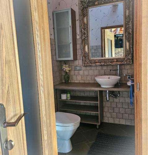 a bathroom with a sink and a toilet and a mirror at Jauki Lauki in Lejasciems