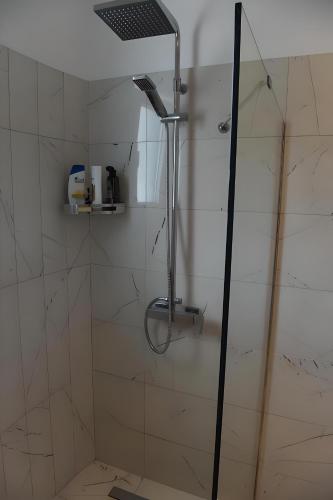 a shower with a shower head in a bathroom at Endless blue Apartments in Dhërmi