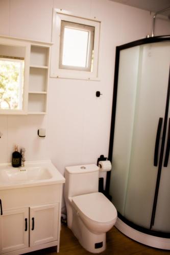 a bathroom with a toilet and a sink and a shower at Serenity Mezcala - Abitare in Isla de Mezcala