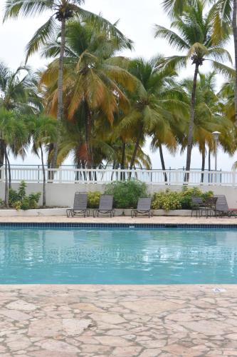 a swimming pool with palm trees in the background at Cozy Beachfront Studio in San Juan