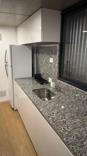 a kitchen with a sink and a refrigerator at Cilveti 468 departamento con cochera, excelente ubicación in Rosario