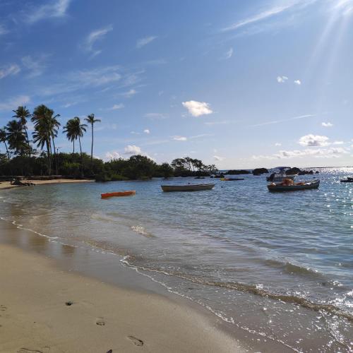 two boats in the water on a beach with palm trees at Dendê Jazz Hostel e Pousada in Morro de São Paulo