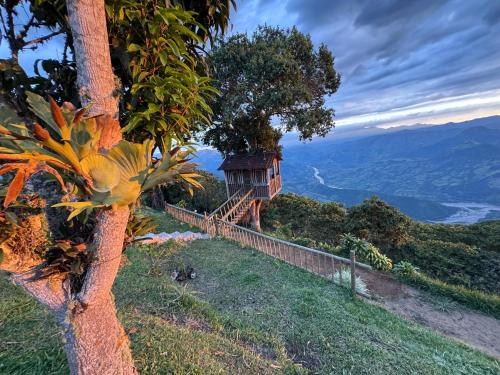 a building on the side of a hill with a tree at Casa en el árbol en Titiribi in Titiribí
