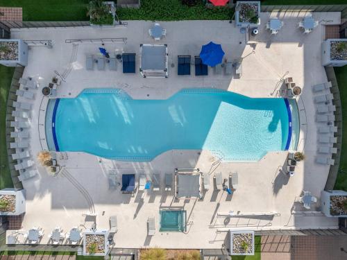 an overhead view of a large swimming pool with chairs and a pool at Olive Oasis Retreat - Walkout to Pool & Hot Tub! in Tempe Junction