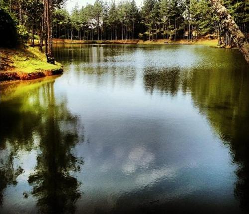 a large body of water with trees in the background at Villa Faris in Los Altos de Cerro Azul