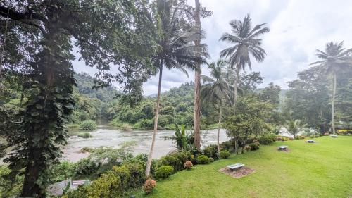 a view of a river in a jungle with palm trees at Heritage Kithulgala Rest House - Historic Home to a Bird Sanctuary in Kitulgala