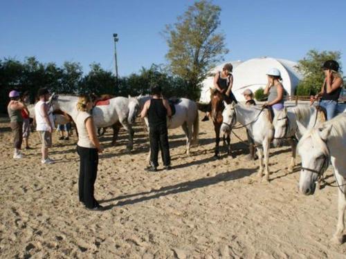 Huéspedes de Chalet Accessible avec Terrasse - 5 Pers - API-1-52-283