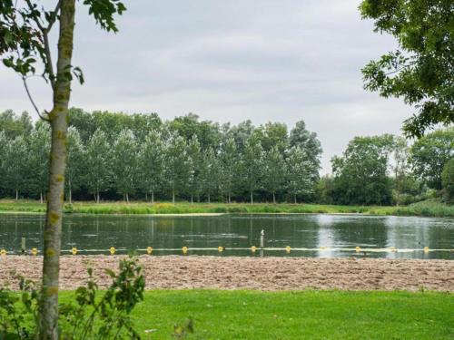 a group of ducks swimming in a lake at Bungalow by Water near Rotterdam in Simonshaven
