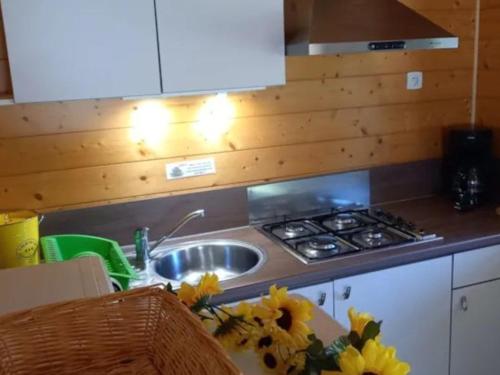 Lempdes sur AllagnonにあるChalet confortable avec terrasse pour 4 personnes - API-1-52-593のギャラリーの写真