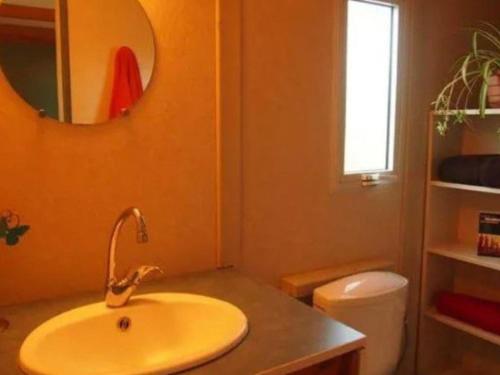 une salle de bains avec lavabo, toilettes et miroir dans l'établissement Mobil-home 7 pers avec terrasse - API-1-52-737, à Esparron-de-Verdon