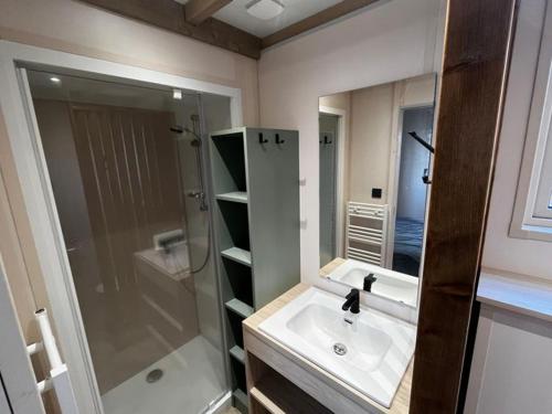 Koupelna v ubytování Chalet spacieux avec terrasse pour 7 personnes - API-1-52-660