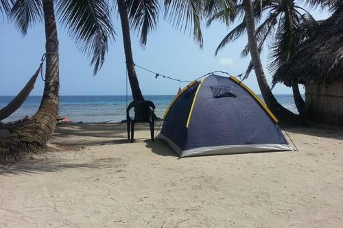 WarsobtuguaにあるCAMPING ISLA IGUANA SAn-Blasのヤシの木のあるビーチのテント