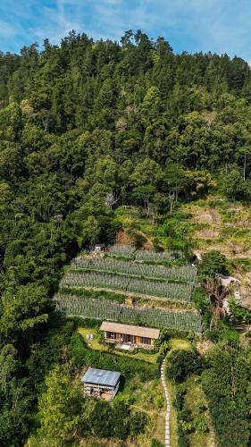 an aerial view of a farm on a hill at Calidas Hill in Kintamani