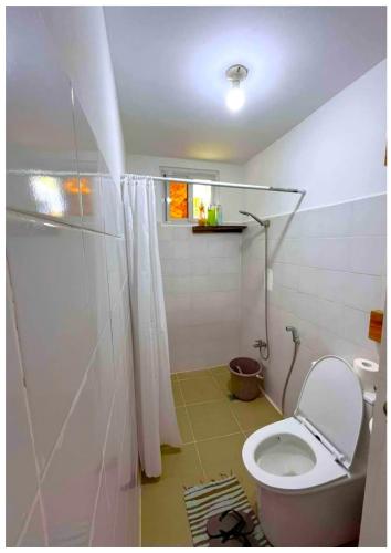 a bathroom with a toilet and a shower at Ragara Beach Resort - Gumamela in Calintaan