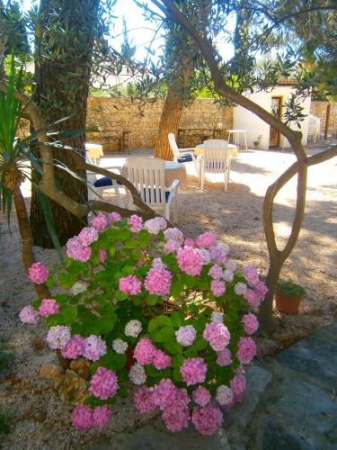 Gallery image of Bed & Breakfast Pansion Rade in Pirovac