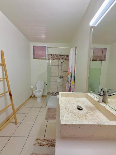 a bathroom with a shower and a sink and a toilet at La Case bourbon in Sainte-Anne