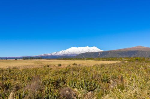 a field with snow capped mountains in the background at All Year Round Adventure Base - National Park in National Park