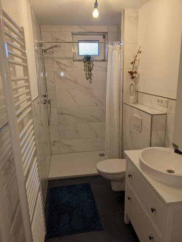 a bathroom with a shower and a toilet and a sink at Fewo Steckinghof in Coesfeld