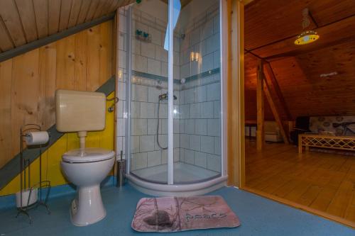 bagno con servizi igienici e doccia in camera di Brunarica Bled Zatrnik Pokljuka a Bled