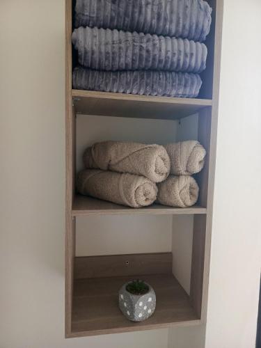 a towel rack with towels and a bowl on a shelf at Casa Manila Medellin in Medellín